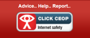 Child Exploitation and Online Protection Centre
